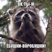 Аватар пользователя Оксана